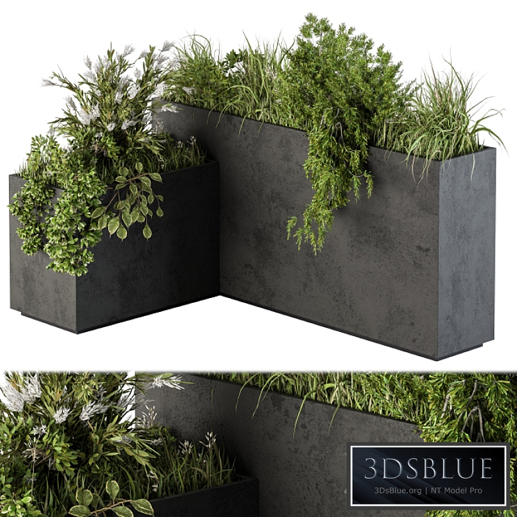 Outdoor Plant Set 248 - Plant L Type Box