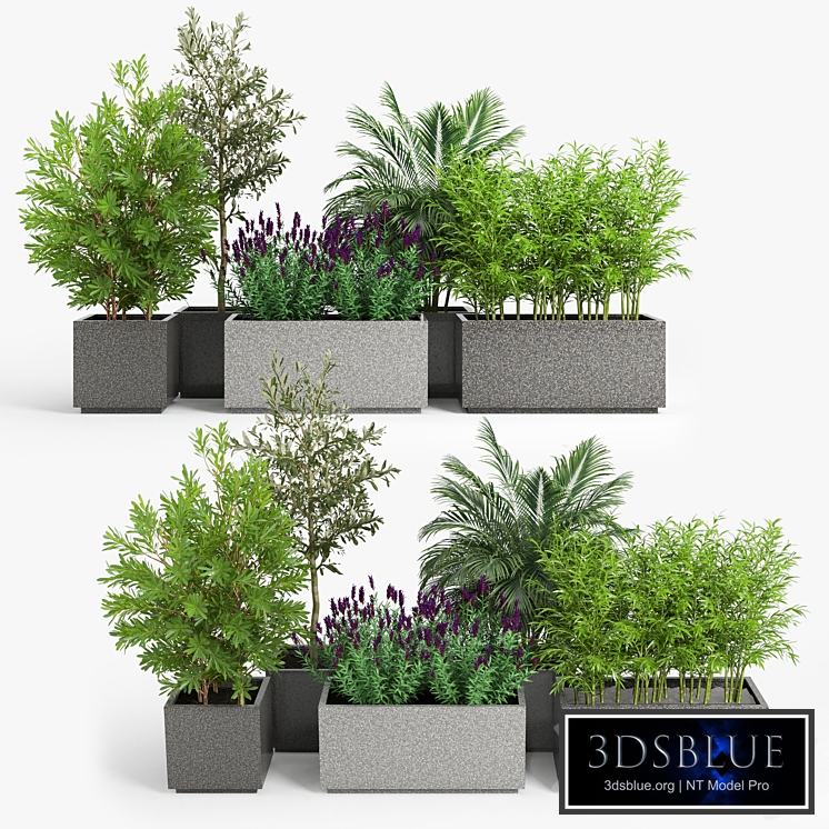 Playa rectangle gray planter