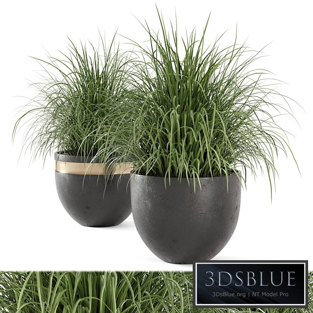 Outdoor Plants Bush in rusty Concrete Pot - Set 186