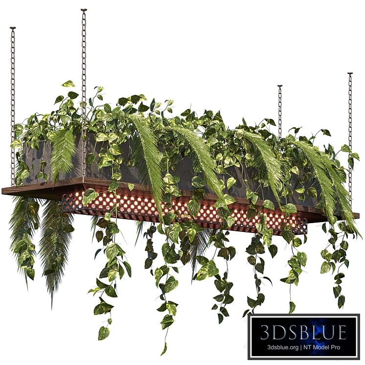 Indoor Plant Vol3 - hanging pot Vol3