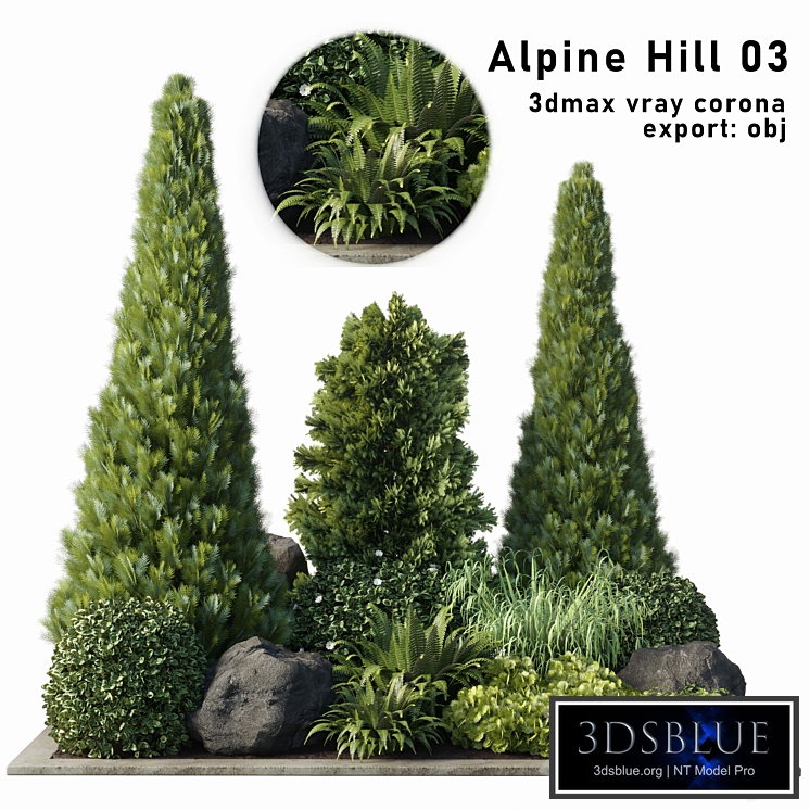 Alpine Hill 03 Rectangular garden