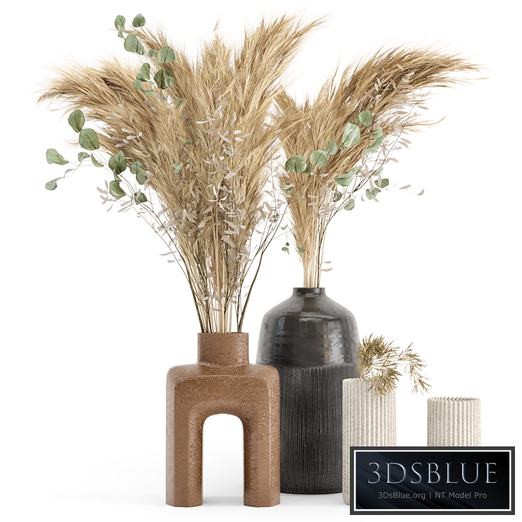 Dry plants 19 - Dried Plantset Pampas with Concrete vase