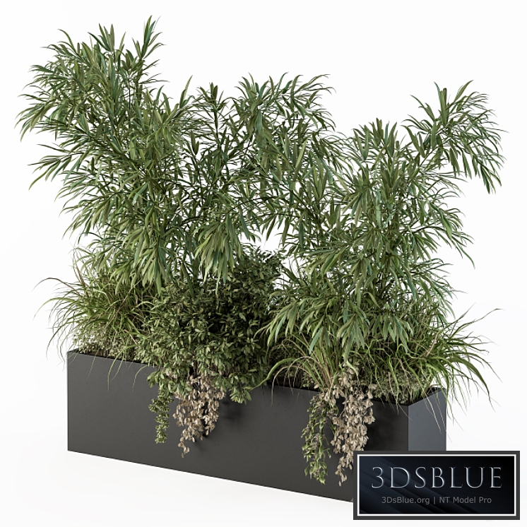 Outdoor Plant Set 252 - Plant Box with Bamboo Tree