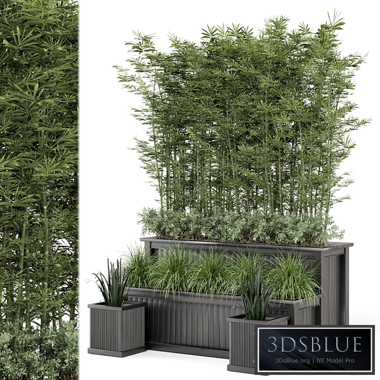 Outdoor Plants Bamboo and bush in Wooden Pot -Set 195