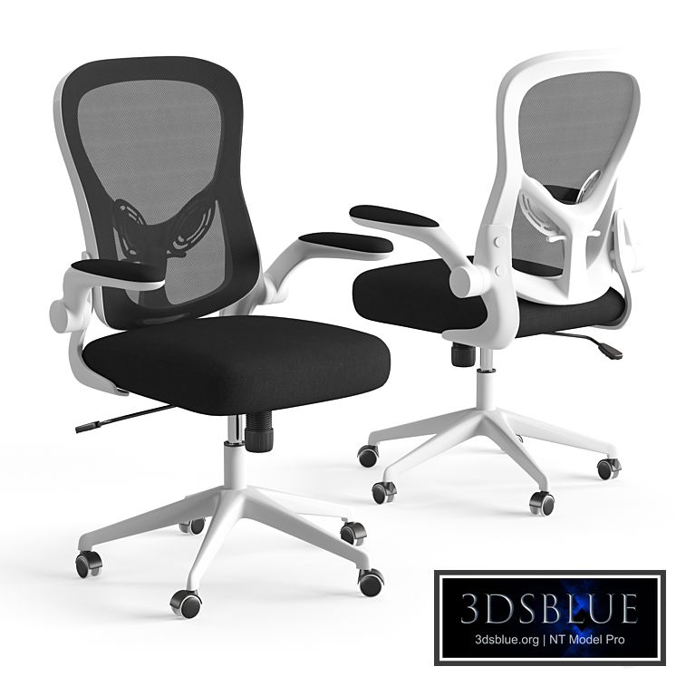 Xiaomi HBADA Ergonomic Double-Waisted Computer Chair HDNY163WM