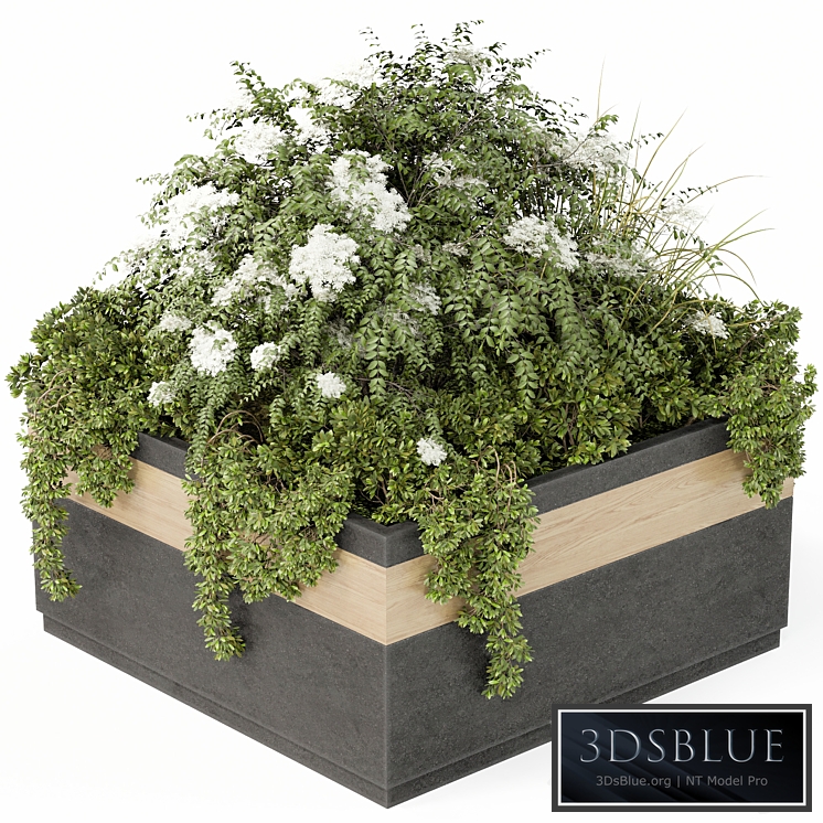 Outdoor Plant Set 02