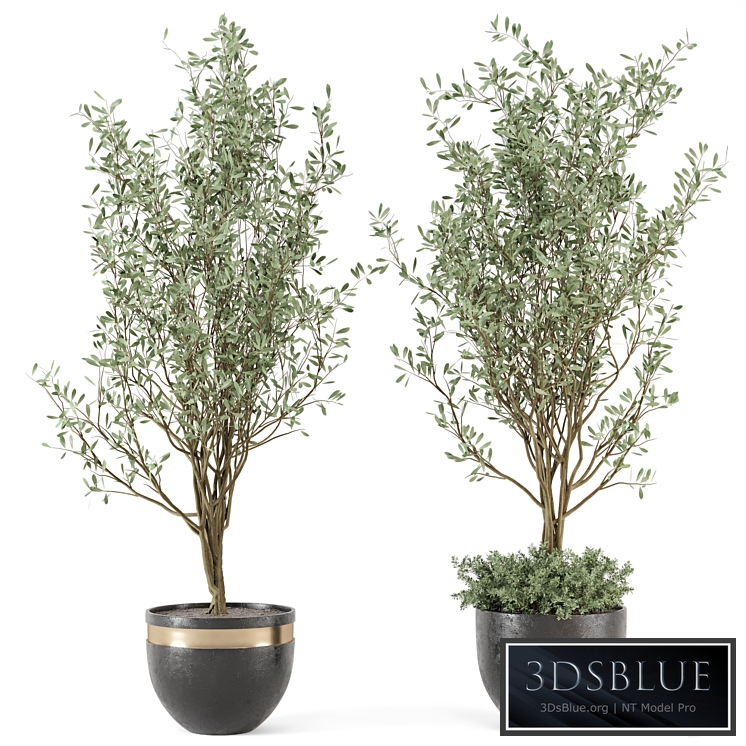 Outdoor bush and Tree in rusty Concrete Pot - Set 204