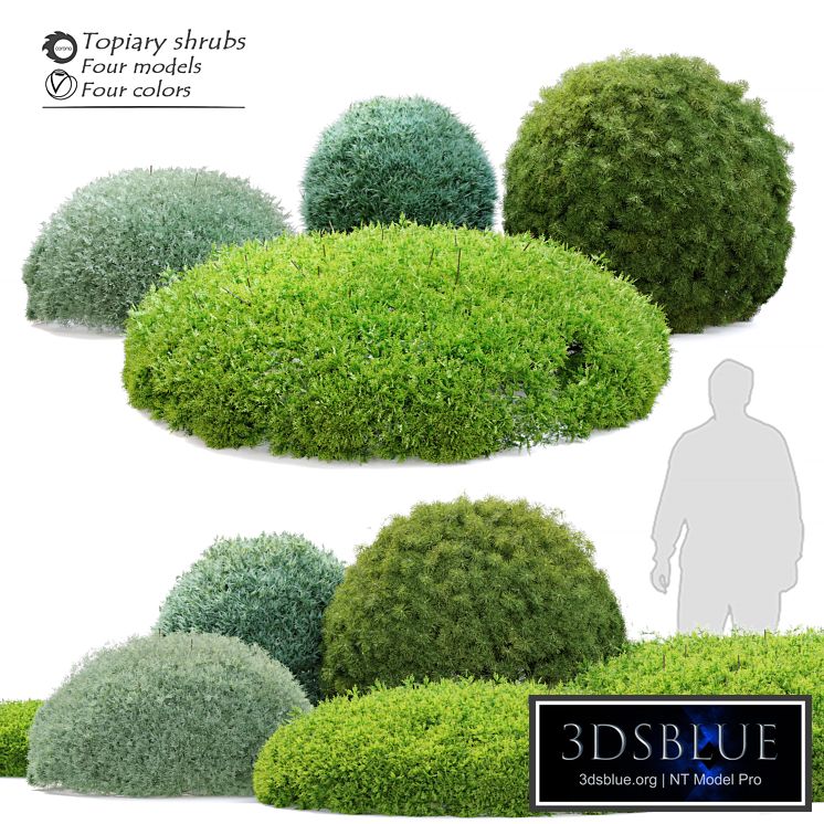 Topiary shrubs