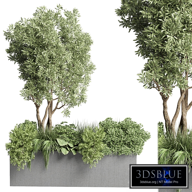 Collection Outdoor plant 47-garden concrete vase bax pot tree and grass bush palm