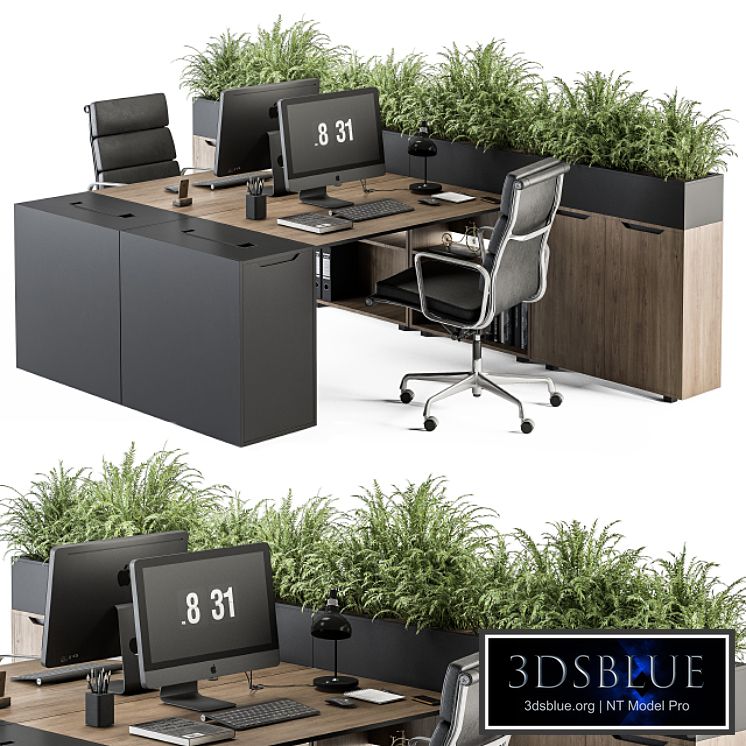 Office Furniture - employee Set 45