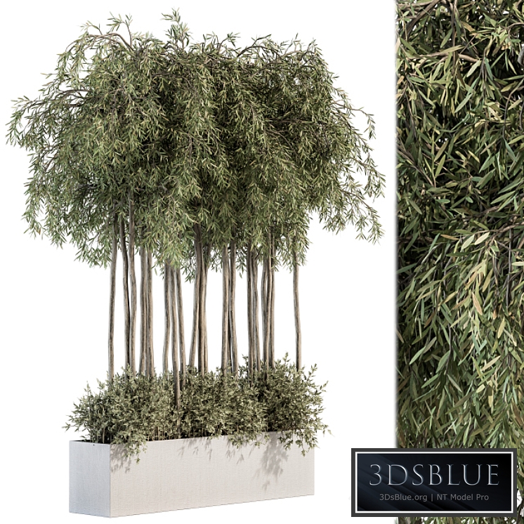 Outdoor Plant Set 264 - Plant Box