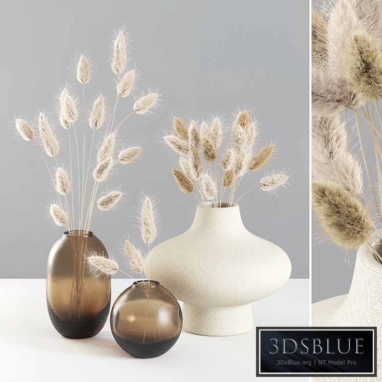 Dried Lagurus Bouquets 01