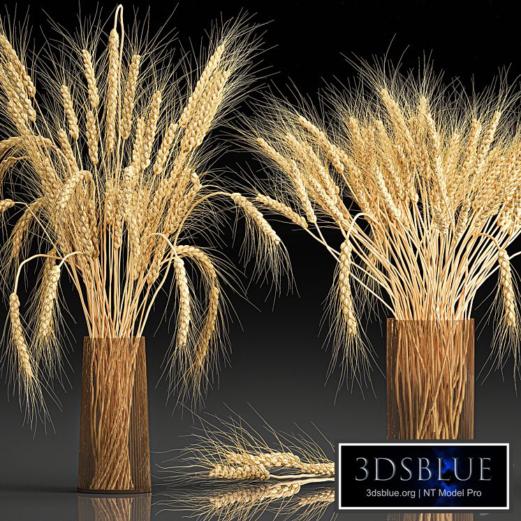 A beautiful bouquet of dried flowers in a vase with dry branches wheat, spikelet. 123