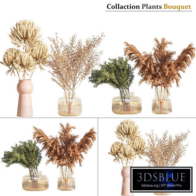 Collaction_Plants_Bouquet_01