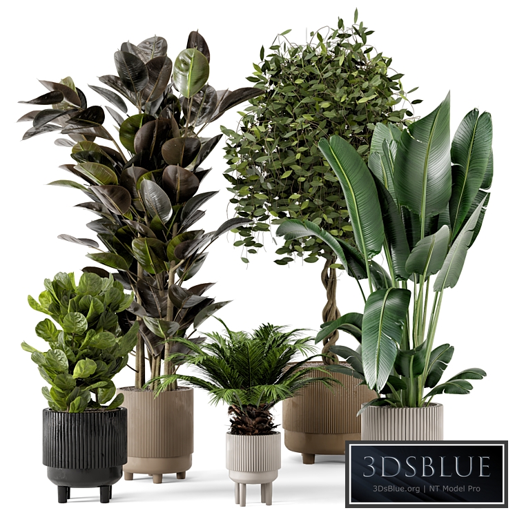 Indoor Plants in Standing Legs Small Bowl Concrete Pot - Set 212