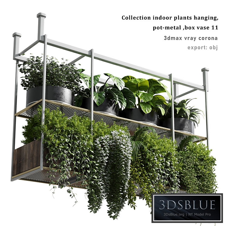 collection Indoor plants hanging pot-metal bax vase 11