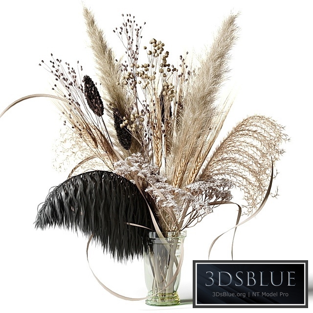 Bouquet of dried flowers with a black feather in a glass vase