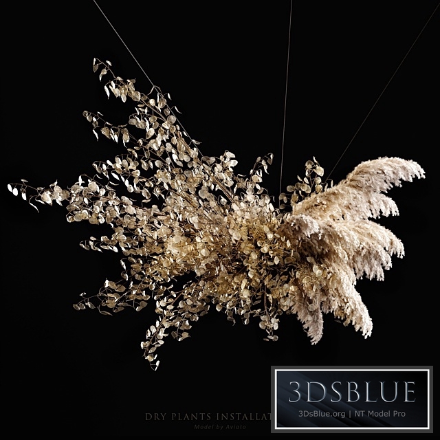 Dry plants installation