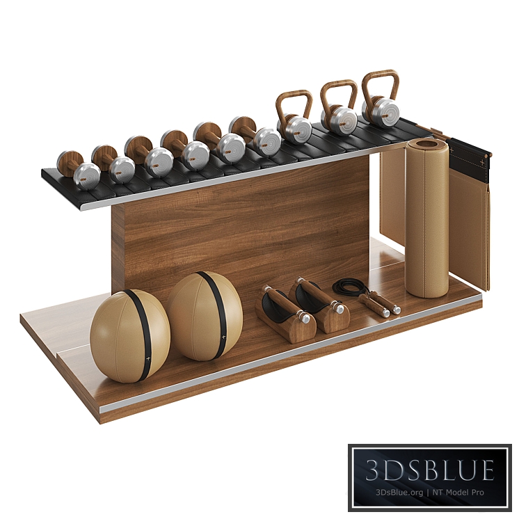 PENT luxury fitness equipment part 2