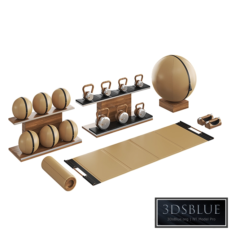 PENT luxury fitness equipment part 4