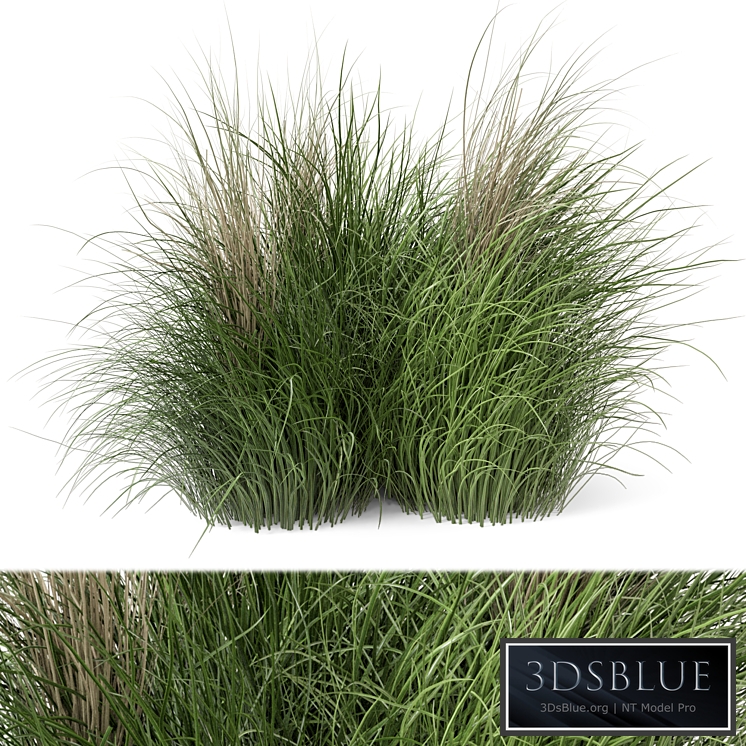 Outdoor Plants Bush -Bush Set 218