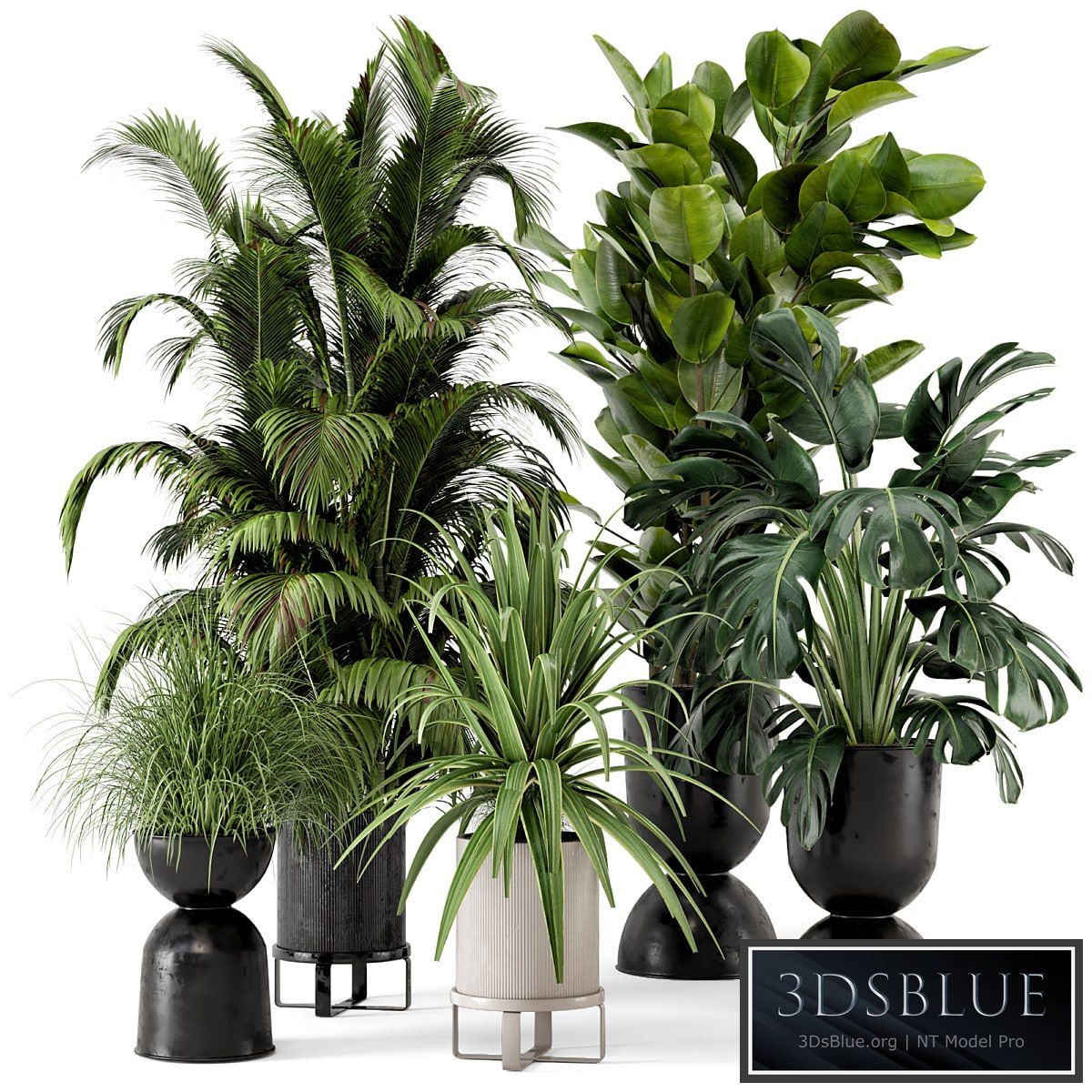Indoor Plants in Ferm Living Bau Pot Large - Set 220