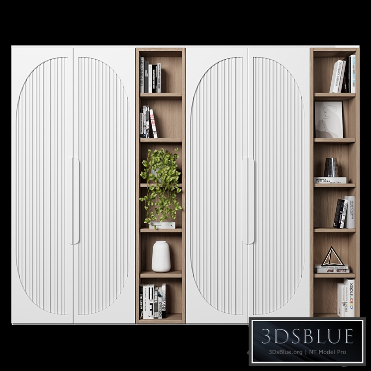 Cabinet with shelves 11