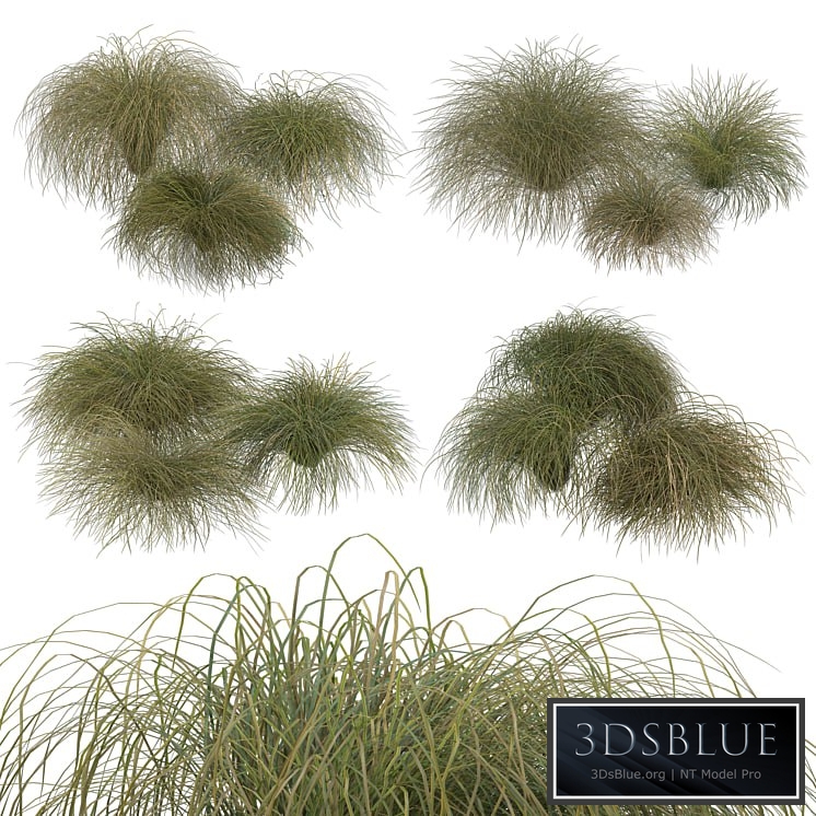 HairSedge