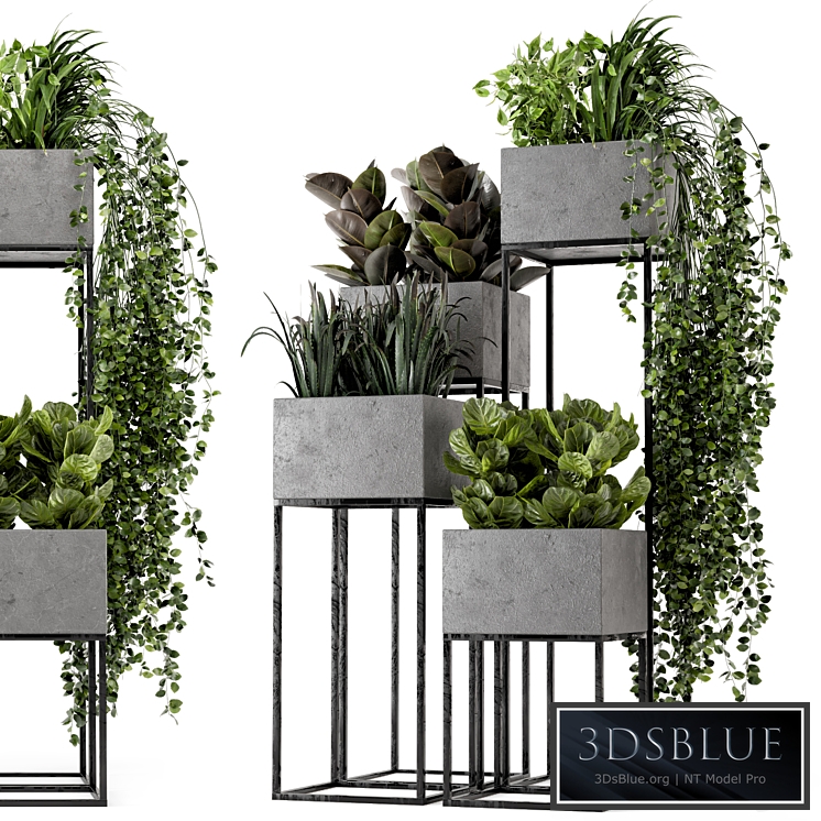 Indoor Plants in rusty Concrete Pot on Metal Shelf - Set 221