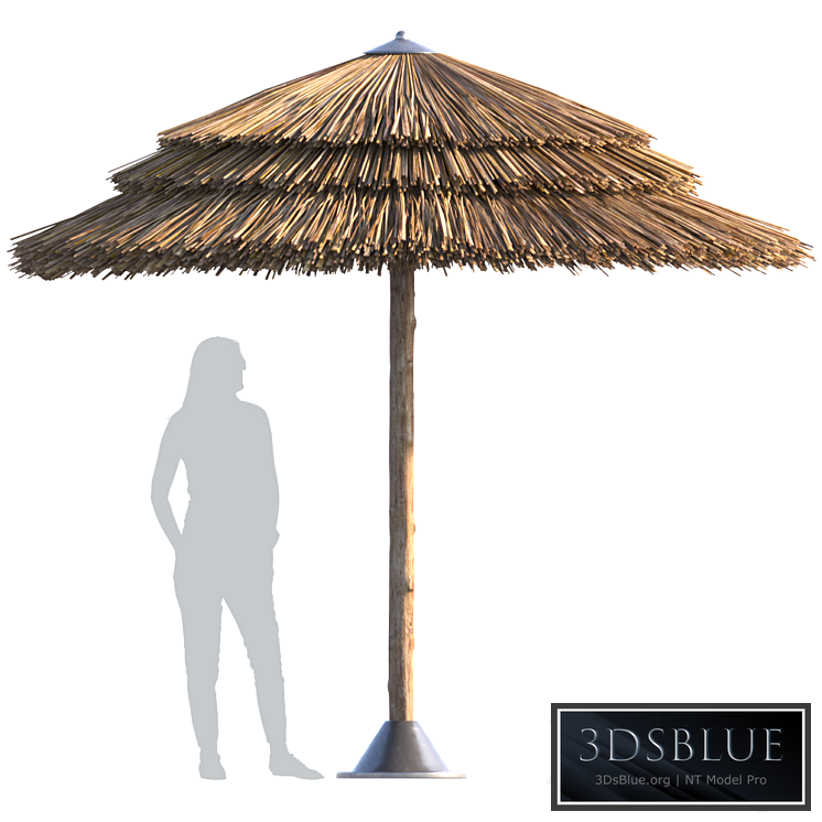 Beach umbrella