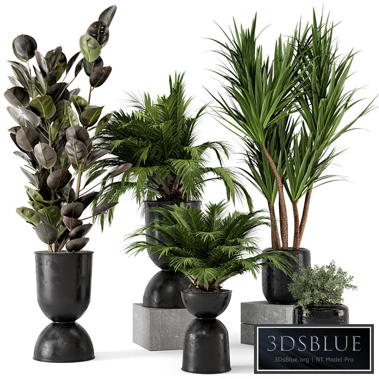 Indoor Plants in Ferm Living Bau Pot Large - Set 226