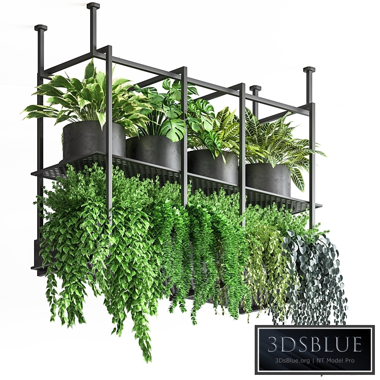 collection Indoor plants hanging pot metal 01