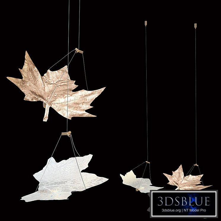 Serip Ceiling Simple Folio