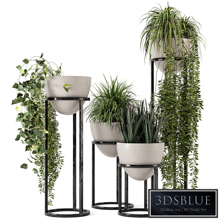 Indoor Plants in rusty Concrete Pot on Metal Shelf - Set 231