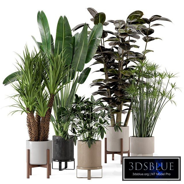 Indoor Plants in Ferm Living Bau Pot Large - Set 235