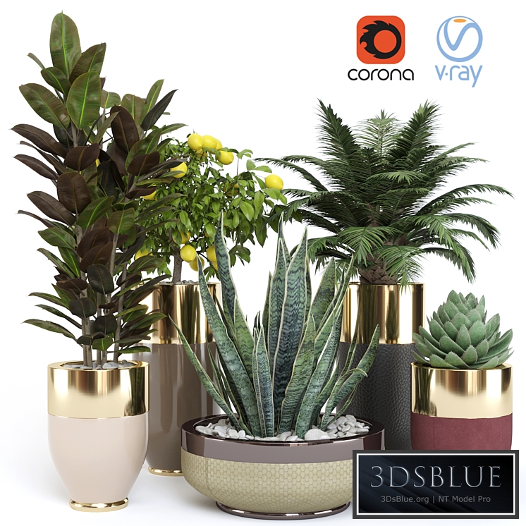 Longhi plant pot godwin cachepot