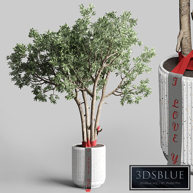 Indoor outdoor plant 111 pot friendship-love tree concrete vase