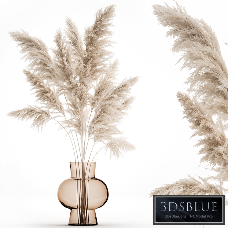 Bouquet 145. Pampas grass, vase, dried flowers, reeds, Cortaderia, white, luxury decor, natural decor, eco design, glass, branches