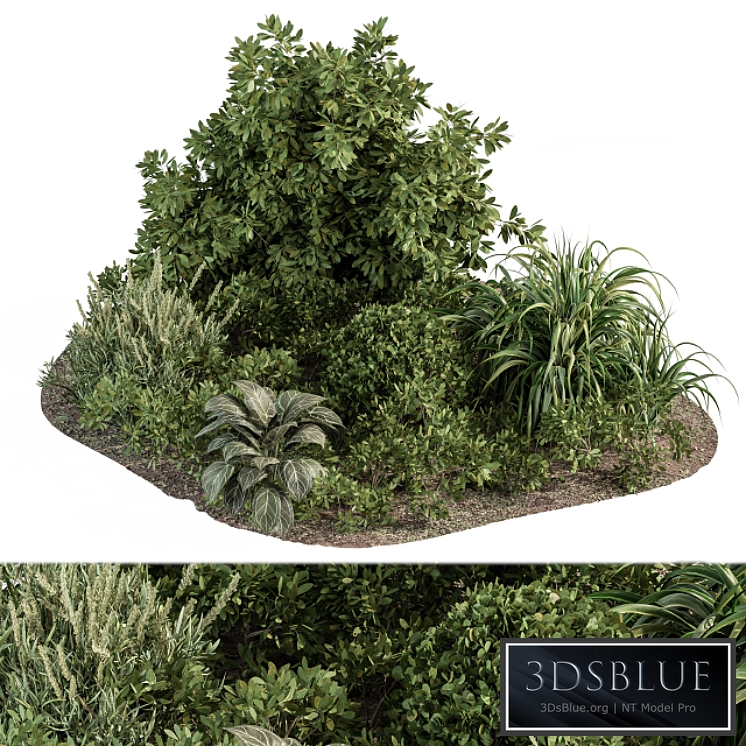 Garden set ivy and Bush - Garden Set 20