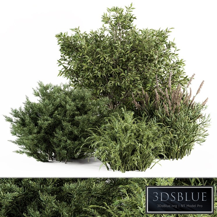 Mixed Plant Bush - Bush Set 37