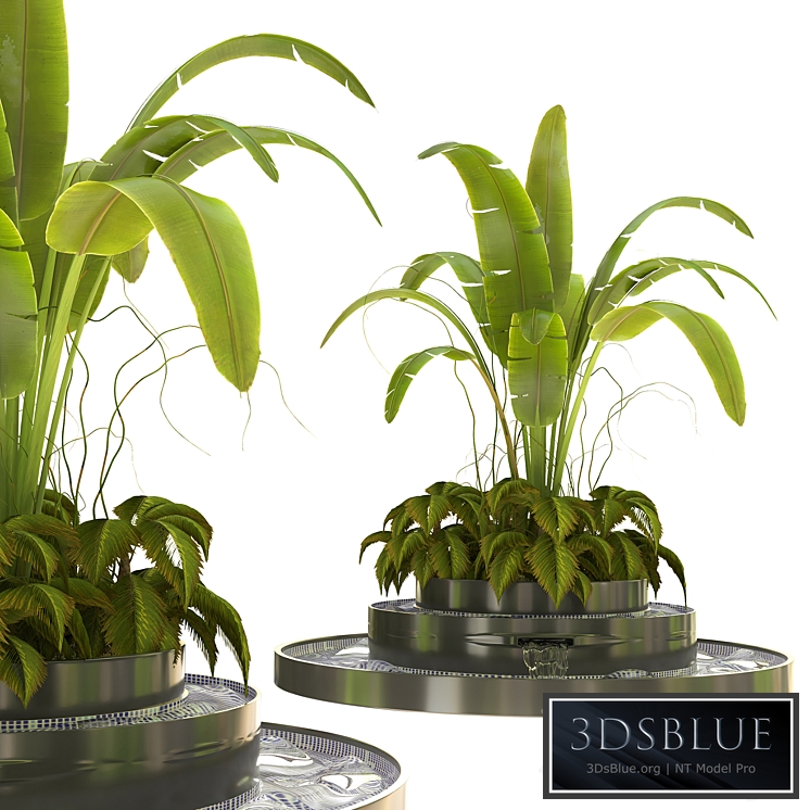 Outdoor_Plant_Vol_07