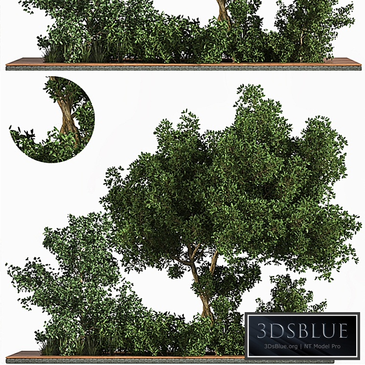 Garden_set_Grass _ & _ Tree