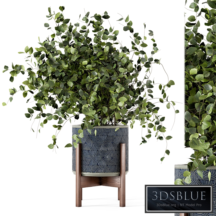 Indoor Plants in rusty Concrete Pot - Set 244