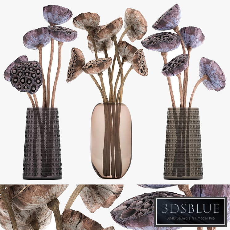 Bouquet 152. branches, vase, dried flower, dry lotus, natural decor, dry stems, glass