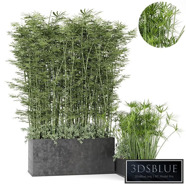 Outdoor Plants Bamboo in rusty Concrete Pot -Set 246
