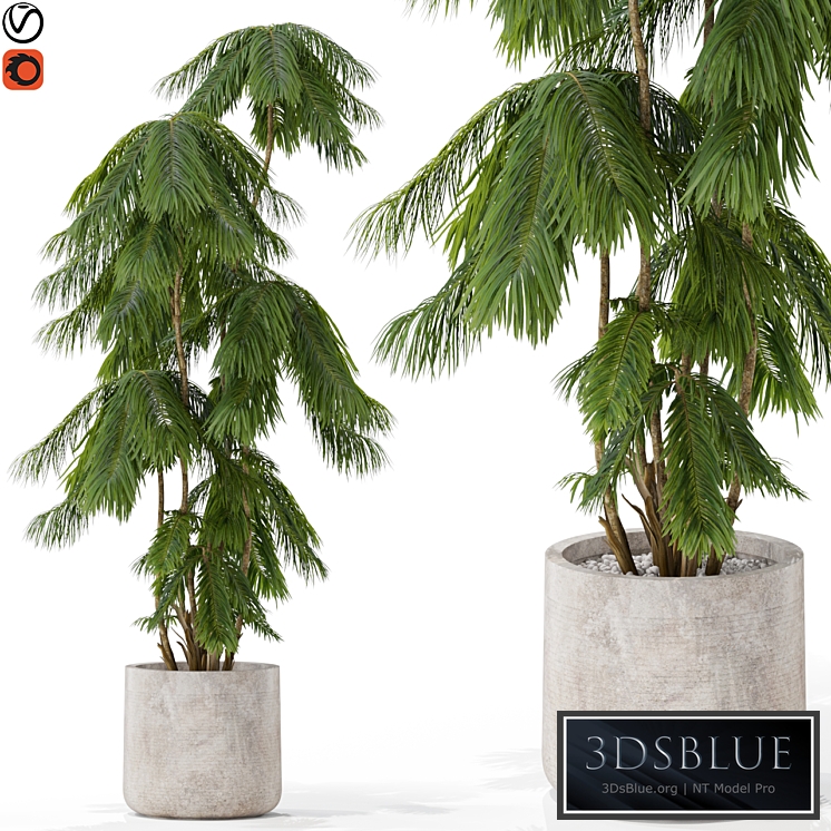 Plants collection 573