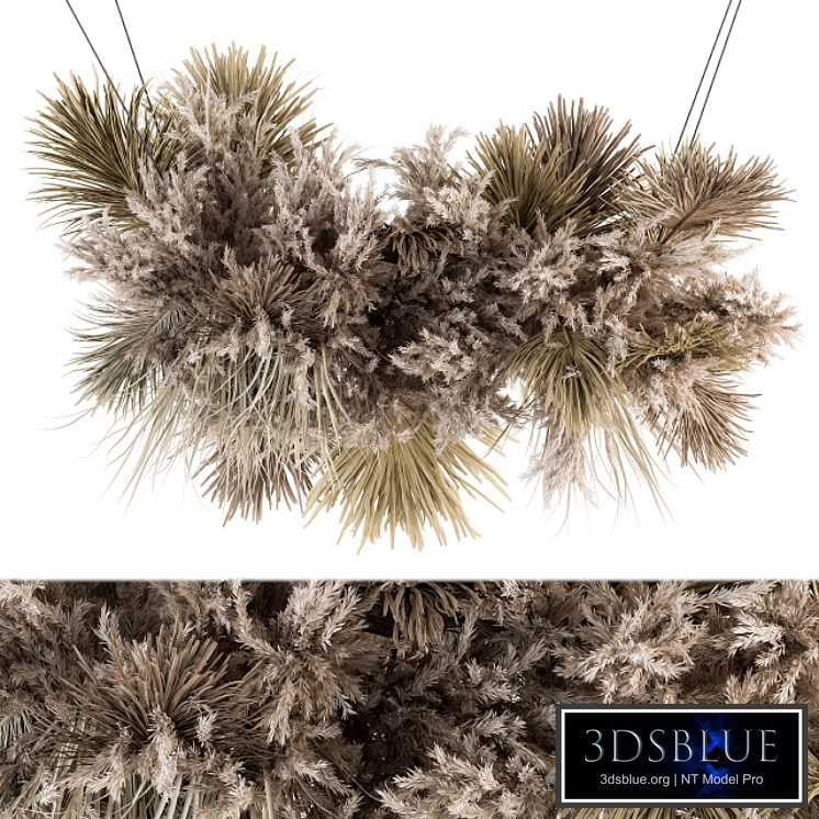 indoor Plant Set 278 - Pendant Dried Plant Hanging