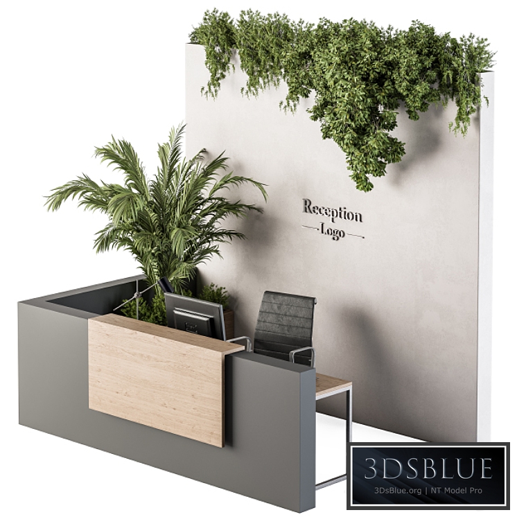 Reception Desk and Wall Decoration - Set 09