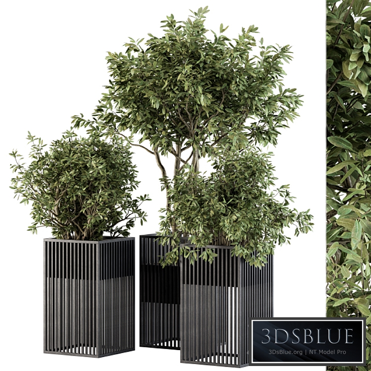 Outdoor Plant Set 276 - Plant Set in Metal Pot