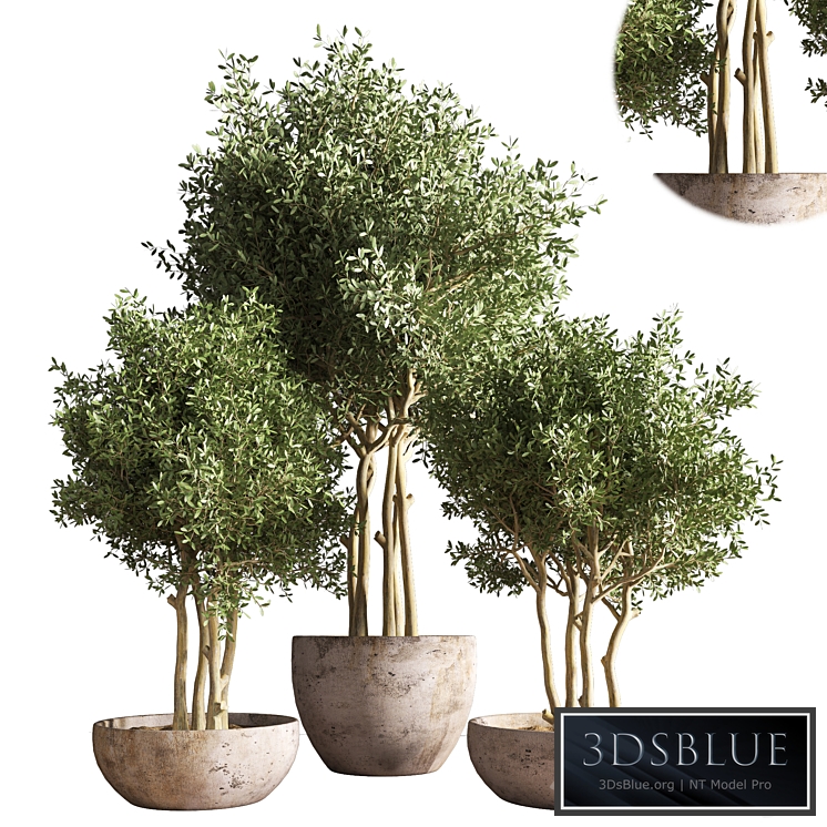 indoor plant stand 19